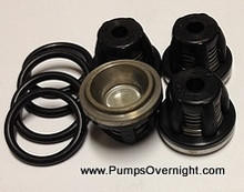 Hypro 9910-1920 D50 Valve Kit