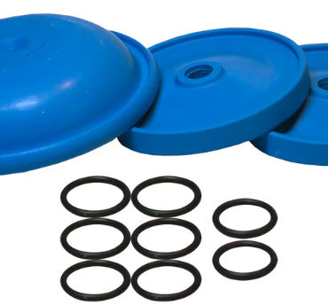 AR 43283 Diaphragm Kit for D252 Pump