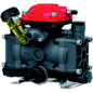 AR252-GR-GCI3/4 Dual Diaphragm Pump