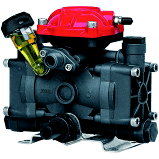 AR252-GR-GCI3/4 Dual Diaphragm Pump